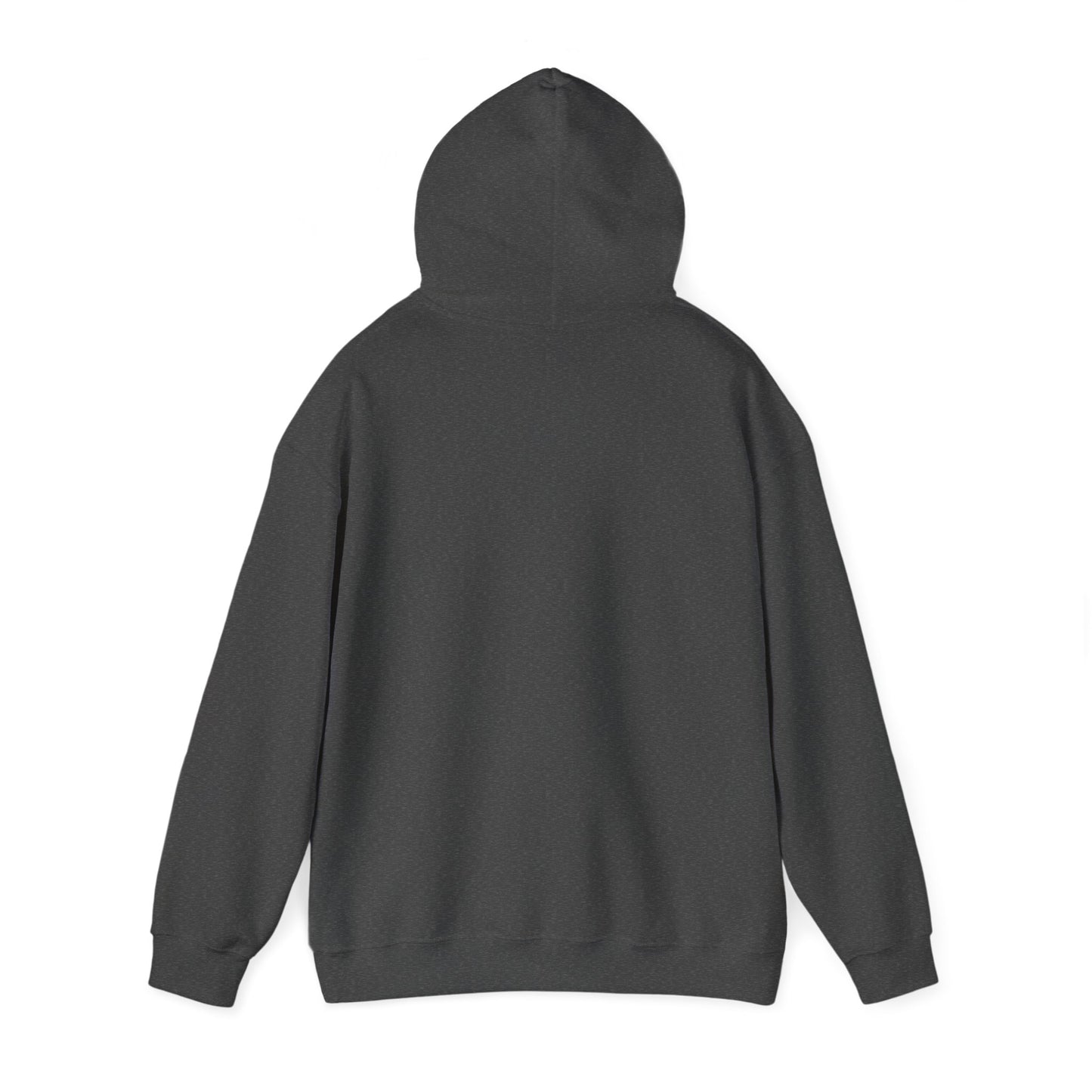 No Worries God Got Me Hooded Sweatshirt
