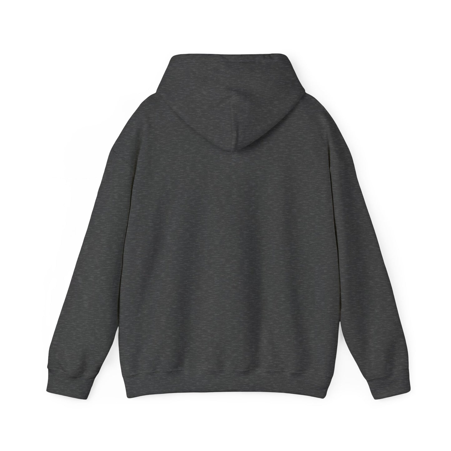 No Worries God Got Me Hooded Sweatshirt