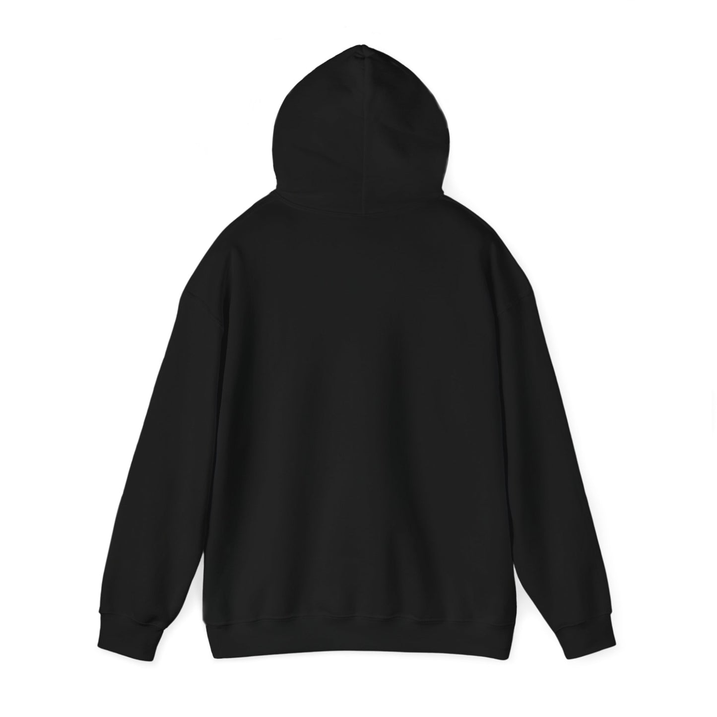 No Worries God Got Me Hooded Sweatshirt